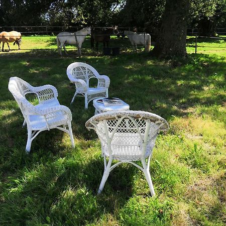 La Marquise Penchee Bed & Breakfast Orsennes Dış mekan fotoğraf